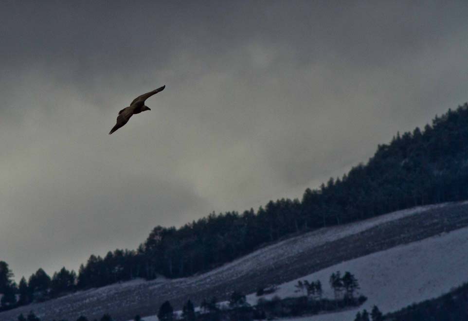 La haut sur la montagne