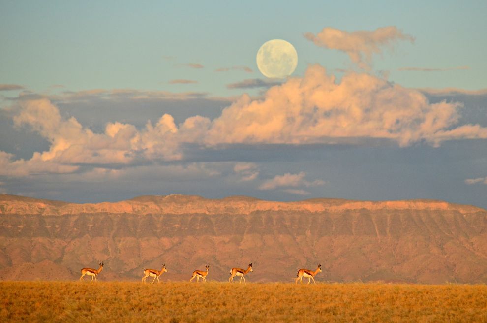 Sous la lune