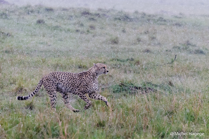 sous la pluie